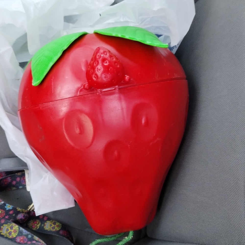 Vintage 1980 Strawberry shortcake carrying case including original toys